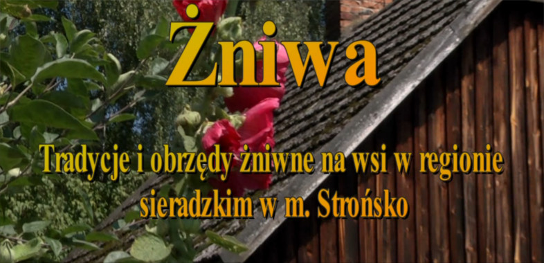 Żniwa – tradycje i obrzędy żniwne na wsi w regionie sieradzkim w m. Strońsko