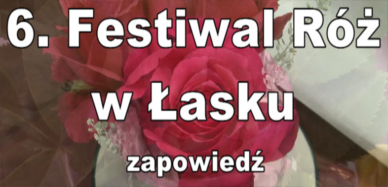 Festiwal Róż w Łasku – zapowiedź