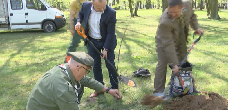 Akcja „SadziMY” w Sieradzu