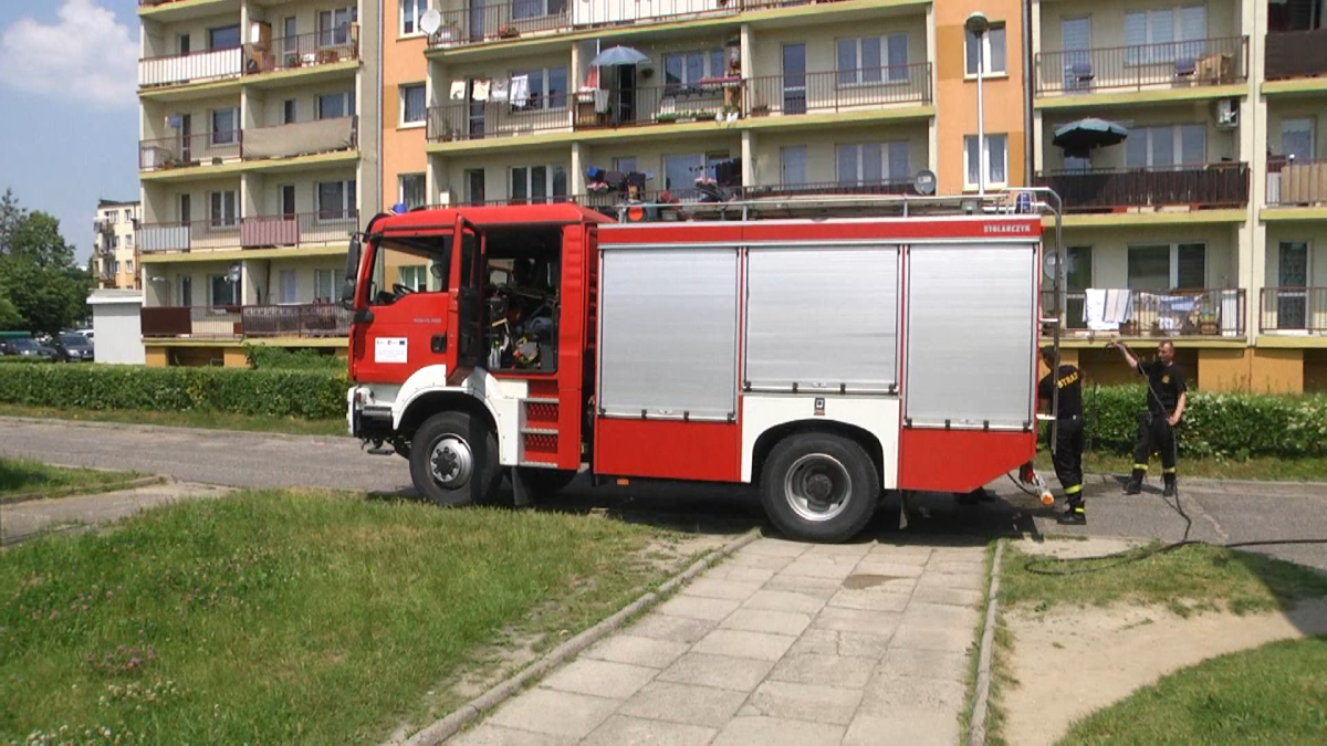 Interwencje straży pożarnej przy gniazdach owadów