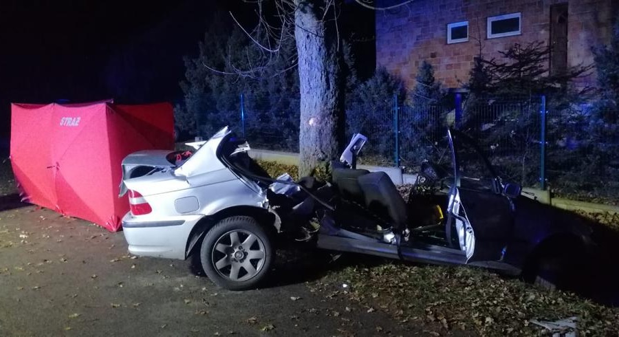 Śmiertelny wypadek w miejscowości Brzeźnio