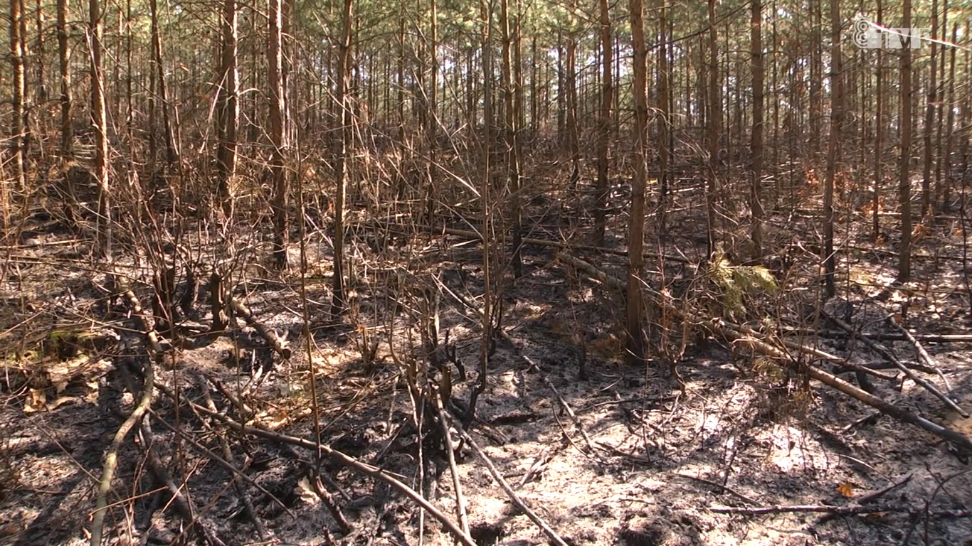 Zagrożenie pożarowe